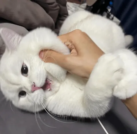 This face just melts my heart.