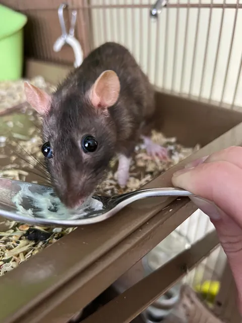 And the eyes go ↖️↘️