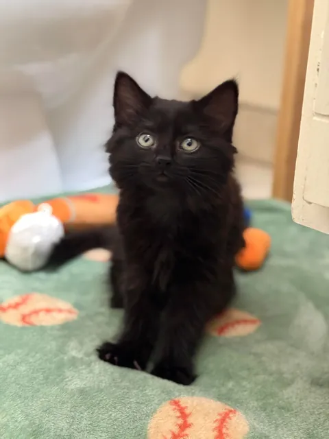 What would you name her?