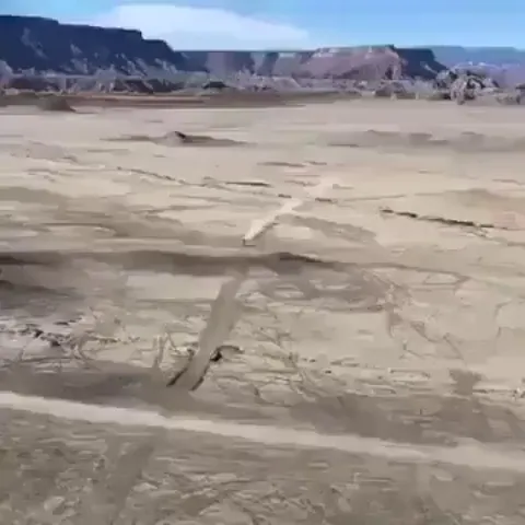 That rare moment when nothing goes wrong