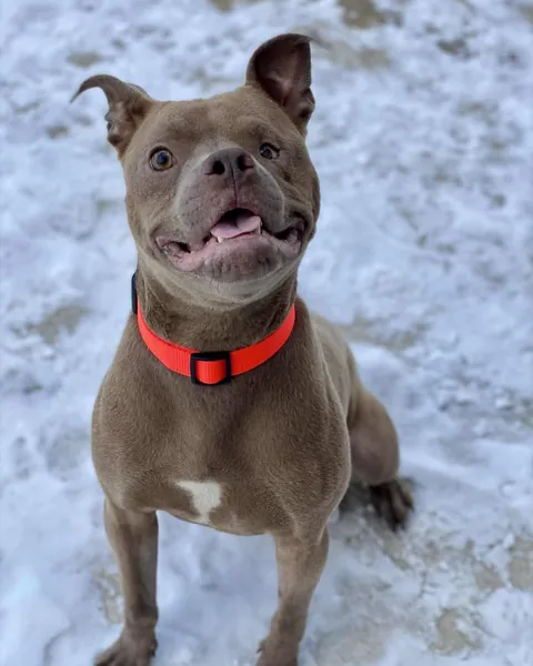 More Kringle pics omg!