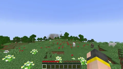 Flashcards in Minecraft, so you can study while playing