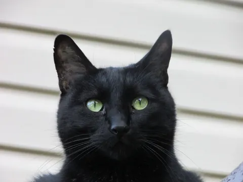 19 years wasn’t long enough.