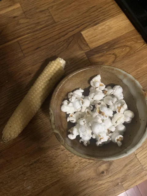 I grew my own popcorn this summer and it popped so well!!