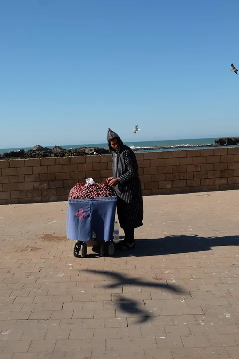 Some photos from my trip to Morocco!