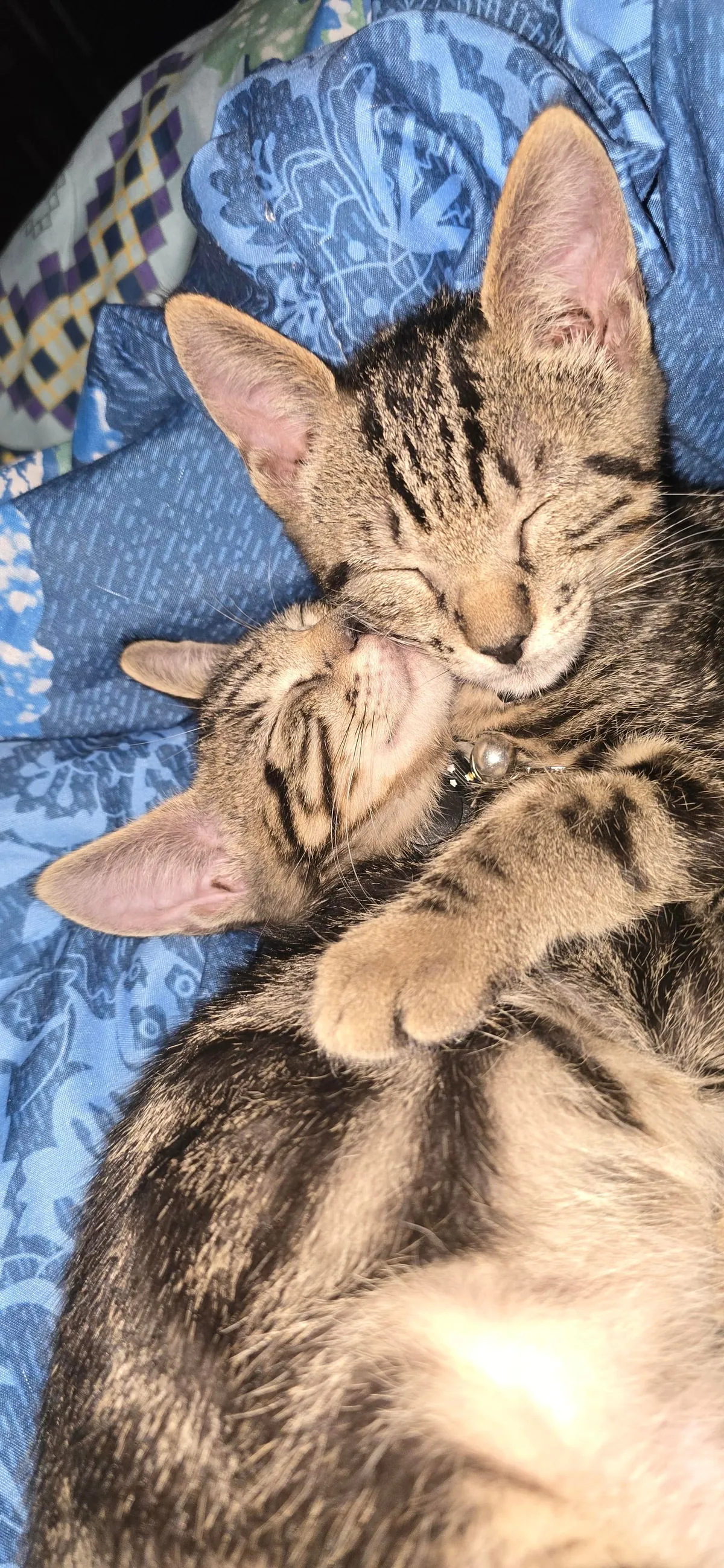 They grow up so fast, but will never grow apart!