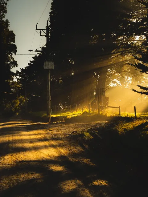 ITAP of sun rays on a dirt road