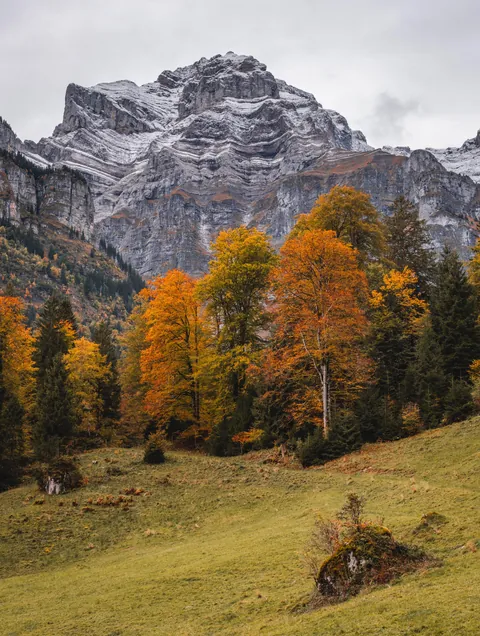 [OC] Fall in Glarus, Switzerland [5122x6791]