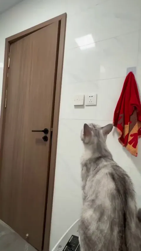 Guarding against unseen forces