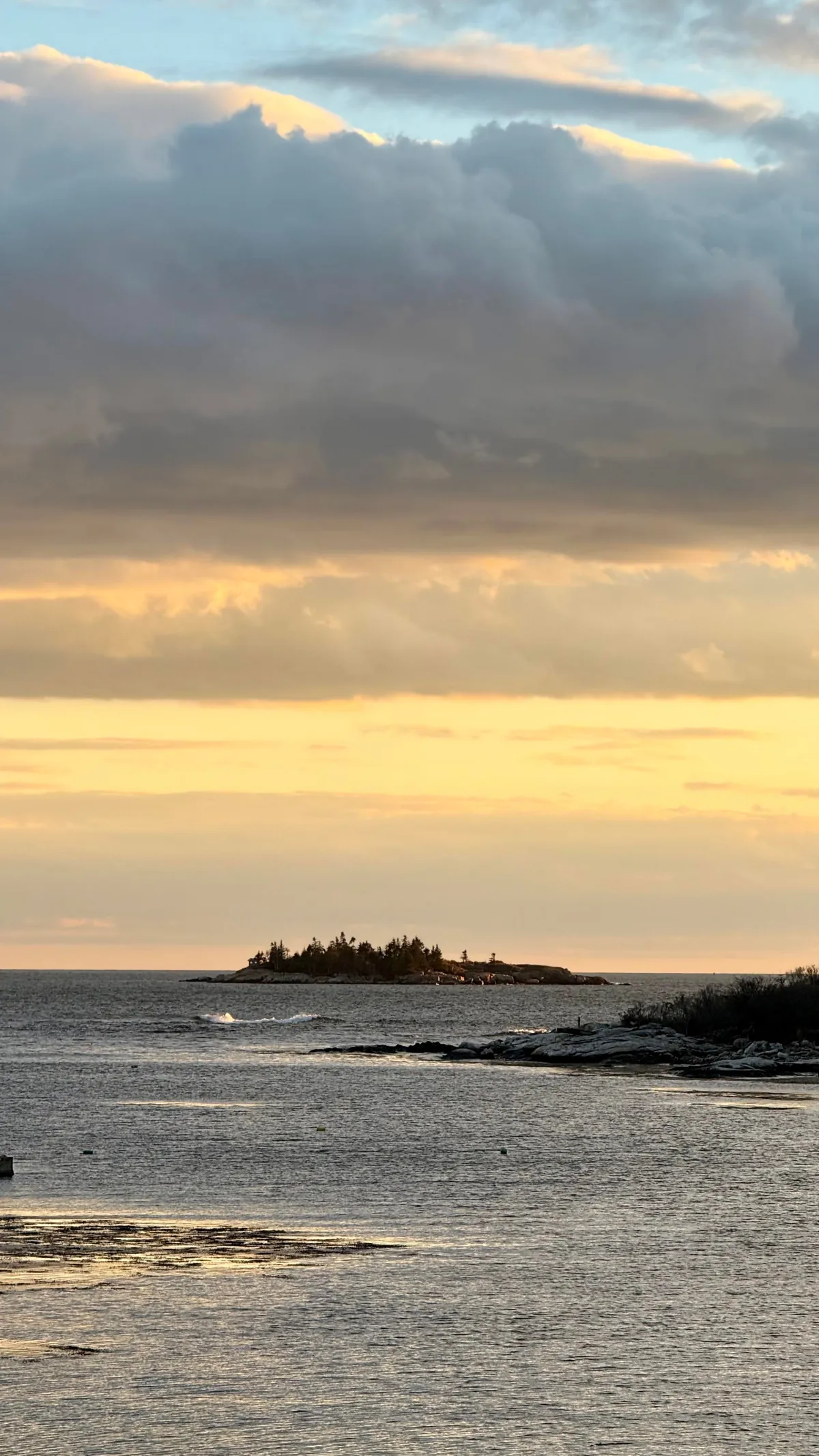 Getting cold up in midcoast Maine, but I’m not complaining 🌲🌊