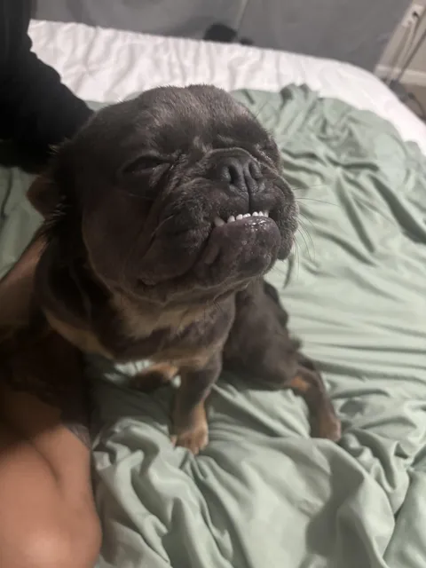 Smiles from my Lola with her little teefers 