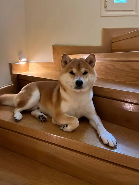 The most beautiful photo I’ve ever taken of him 🥰