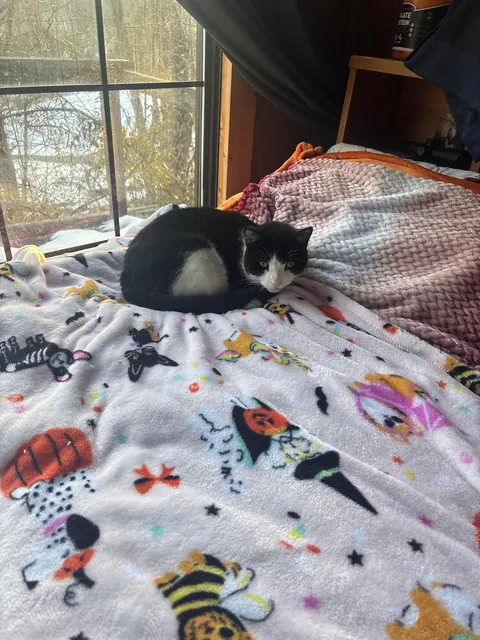 she was my best friend for 16 years…