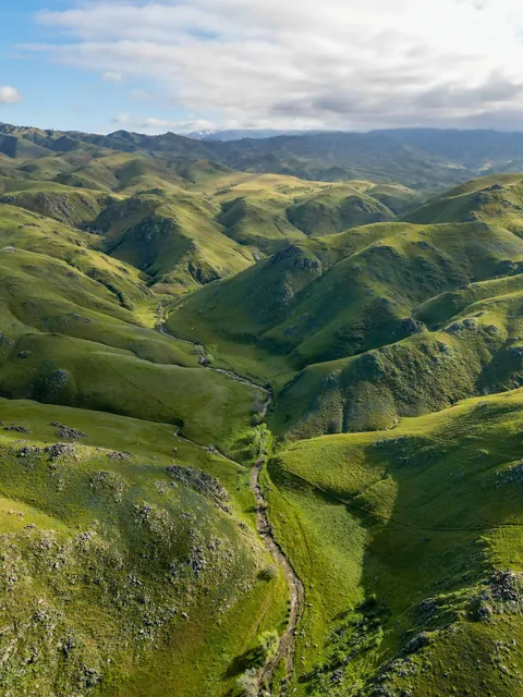 Spring (Mar. ‘23) in Eastern Bakersfield, California [2250x3000] [OC]