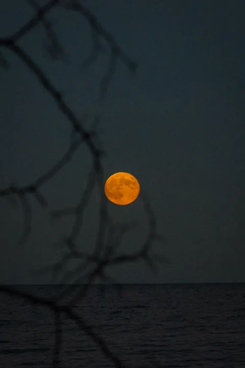 Perfect time, perfect place 