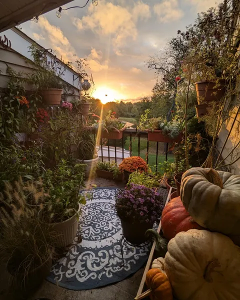 My Apartment Balcony- Year 3 (All Four Seasons 2024)