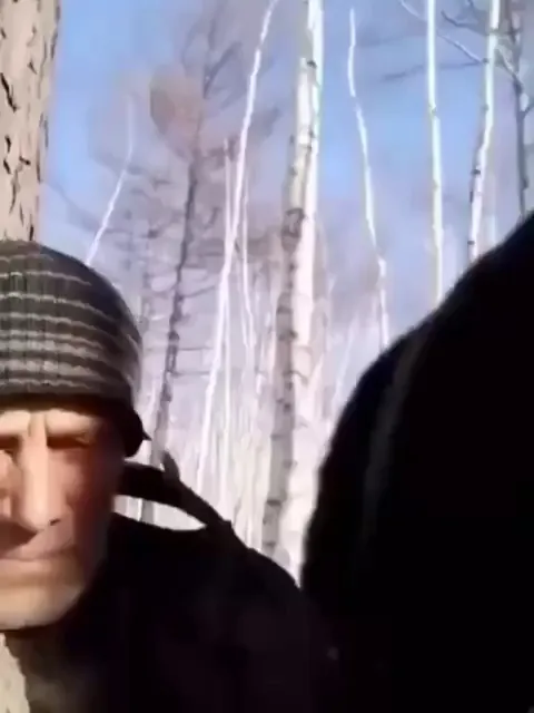 Mama bear left him her cubs to go hunting