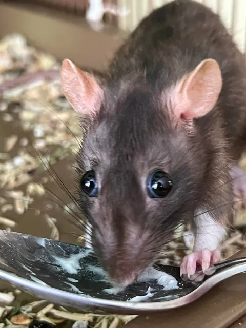 And the eyes go ↖️↘️