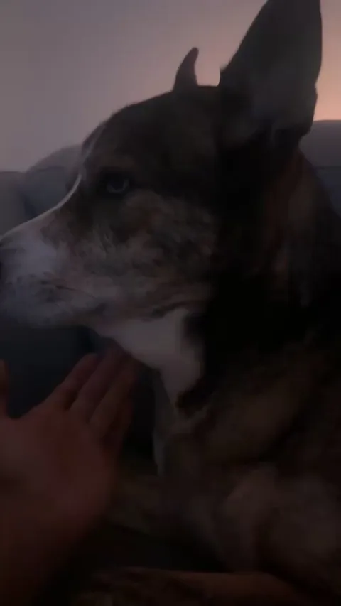 Please leave me alone