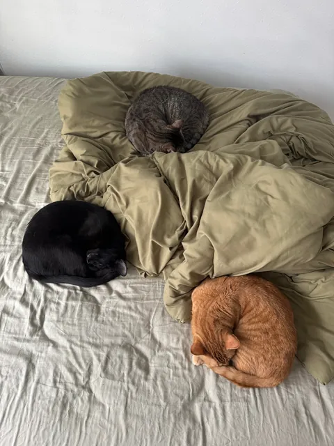 Do they do this on purpose?