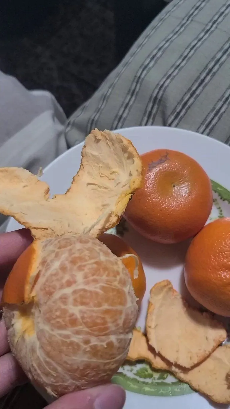 Why does she insist on sitting next to me even though she hates oranges