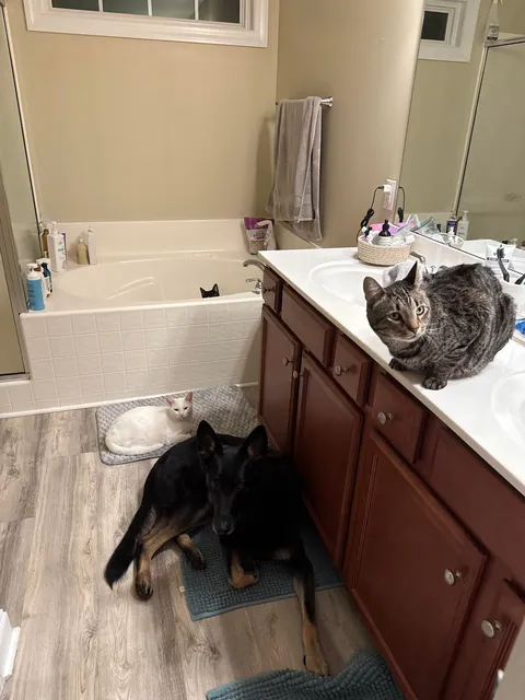 I don’t know why the. Bathroom is the hangout spot