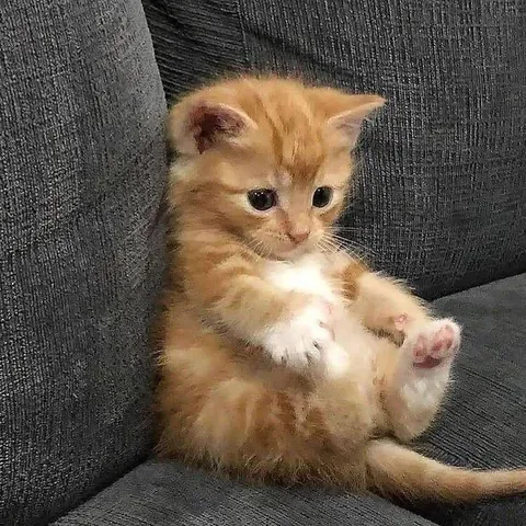 She's So Adorable 😭😭🥰🥰