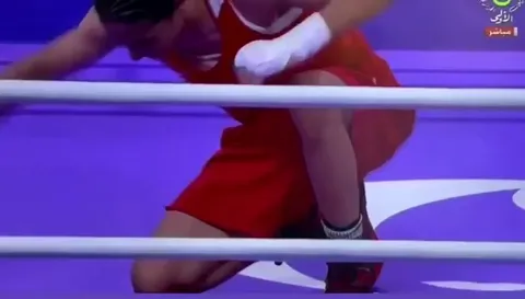 Imane Khelif bursts into tears following her victory against Luca Hamori from Hungary who attacked her on social media before the fight.