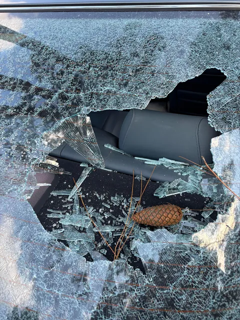 A PINECONE Fell From a Tree and Completely Shattered The Rear Window of My Car