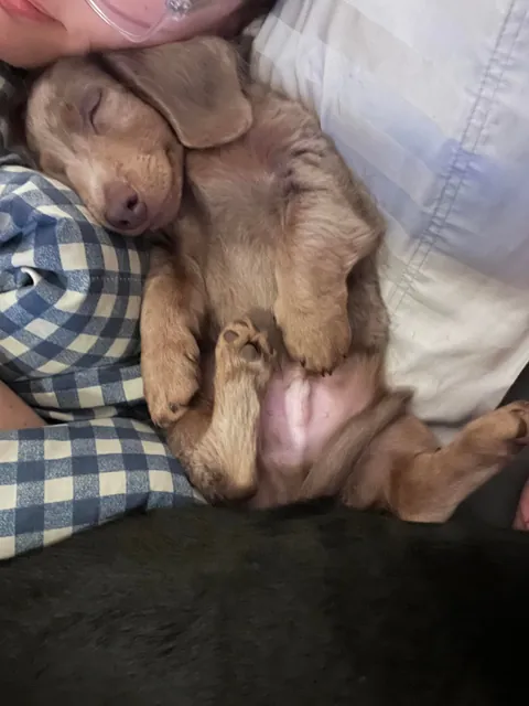 He can literally sleep in any position, anywhere