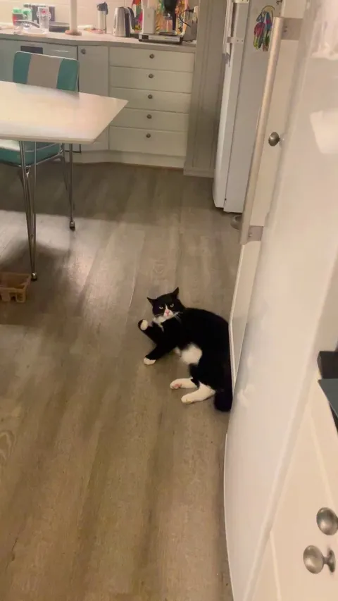 Why is he giving me the death stare?