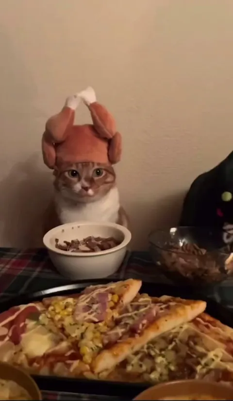 Can’t handle this face