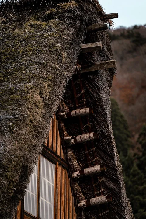 A walk in Shirakawa-gō, Japan