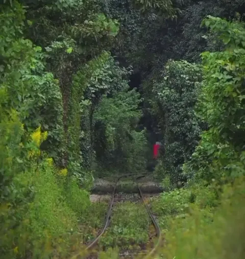 This little red train in Japan, that looks like it’s going through a forest tunnel.