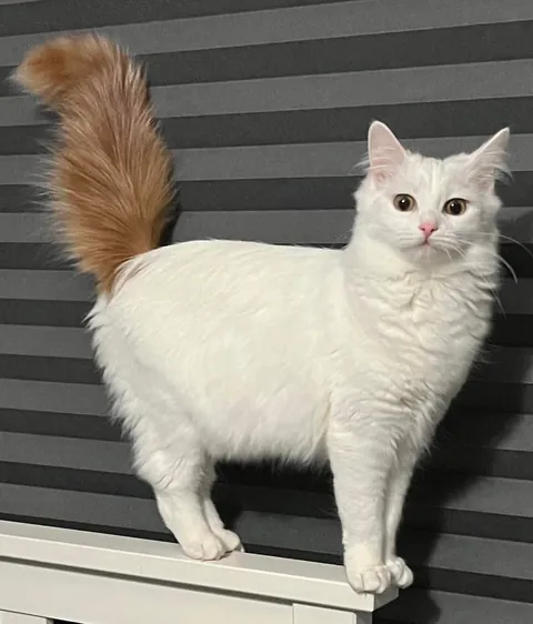 Almost eight and a half months old