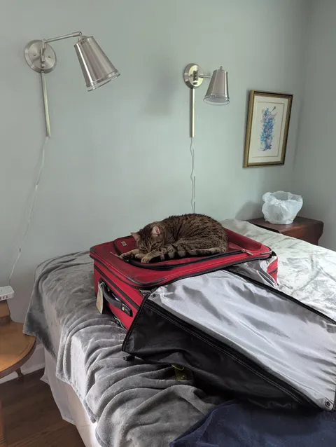 My wife says we have to cancel our travel plans