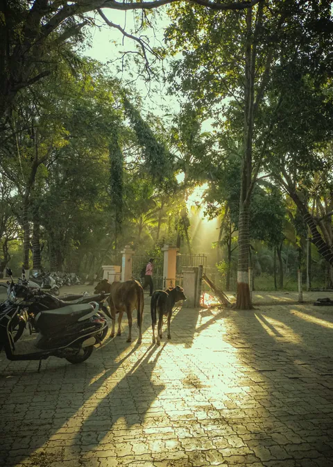 Coming Back to My Hometown