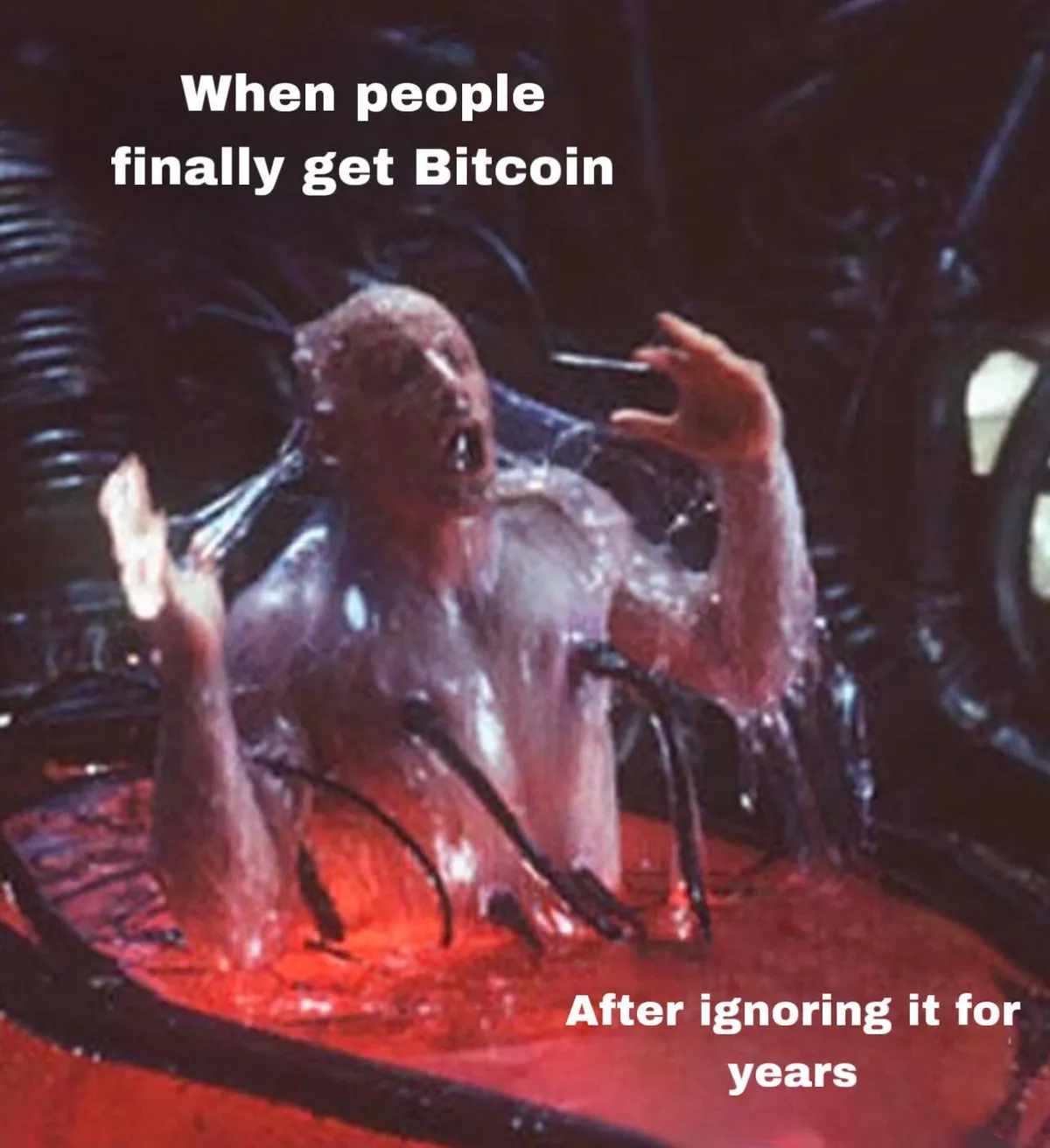 When people finally get Bitcoin...