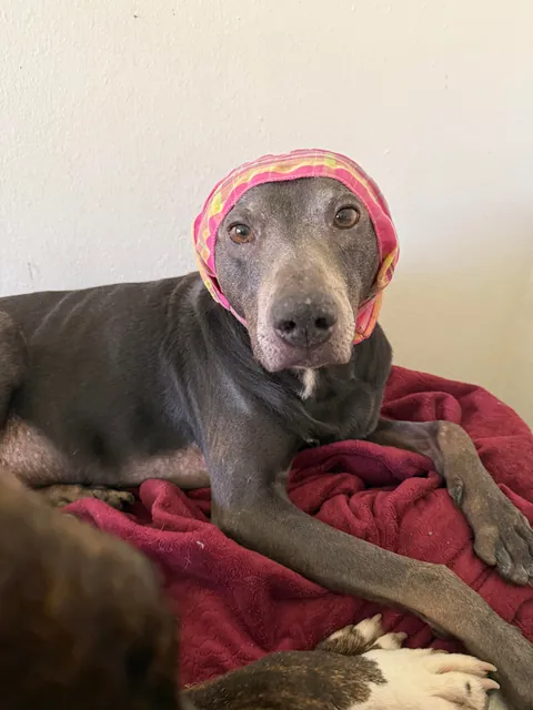 My momma says that I’m the babiest of all the baby boys.