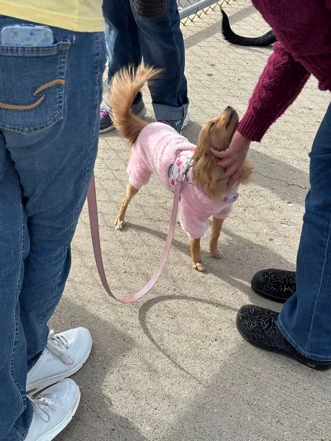 "Immigrants Make USA Great" Rally in Ogden, Utah - Nov. 15 [OC]