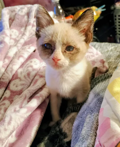 This guy somehow resolved a massive eye mass by himself and avoided life threatening surgery