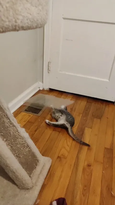 Why play with toys when you can play with a vent cover?