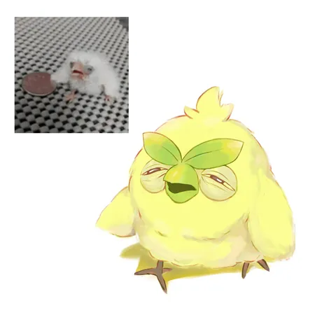 freshly hatched Browt