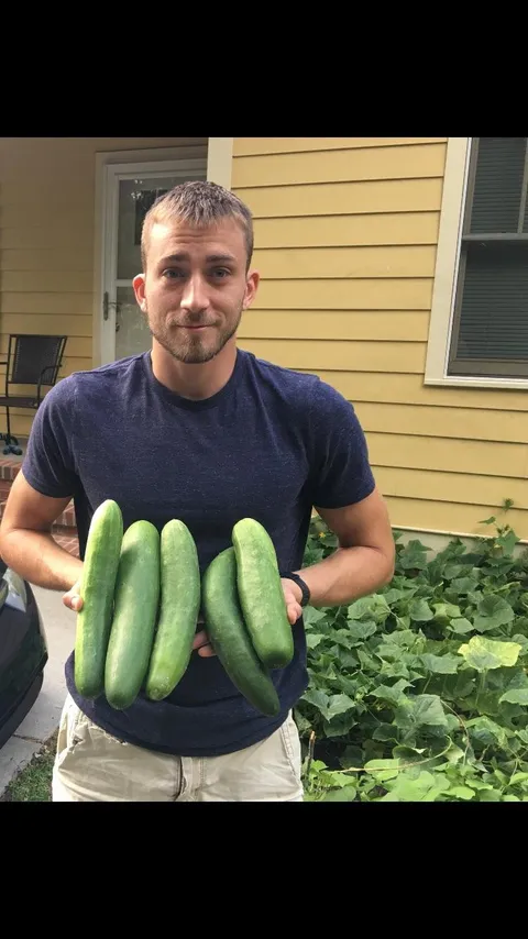 First garden ever, spent $1.69 on cucumber seeds, pretty good return on investment so far.