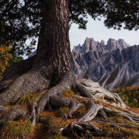 Near Passo Giau, Dolomites, Italy [2500x2500] [OC]