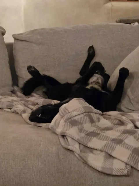 She looks like a dead spider