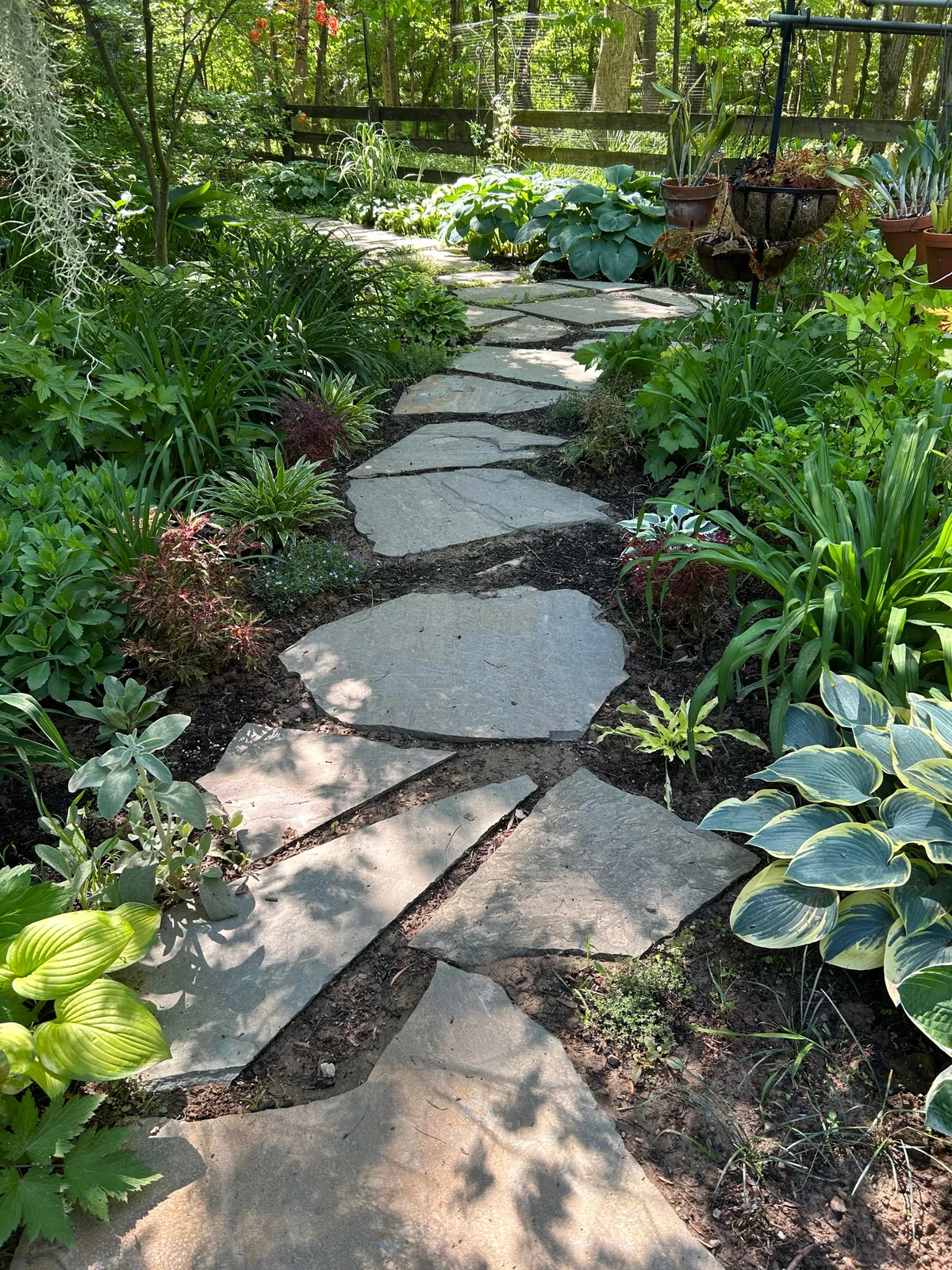 Progress March 3 to May 10