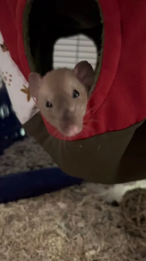 This is boggling right???