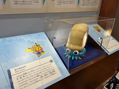 Took my son to the Pokemon Fossil Exhibit. Here are some pictures.