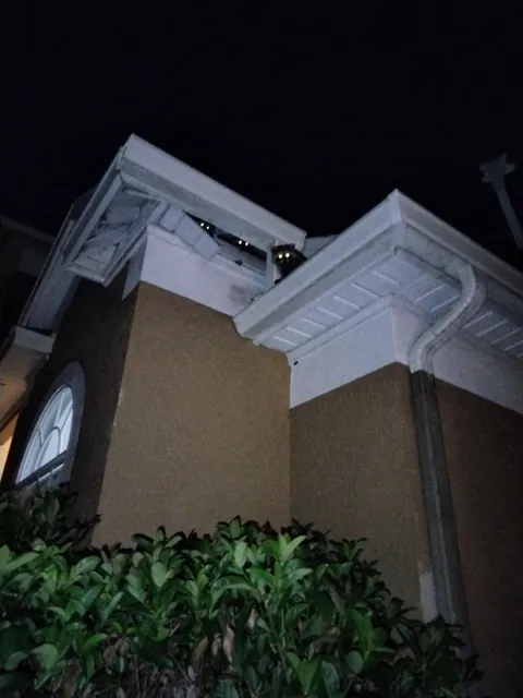 Been hearing noises from my ceiling...